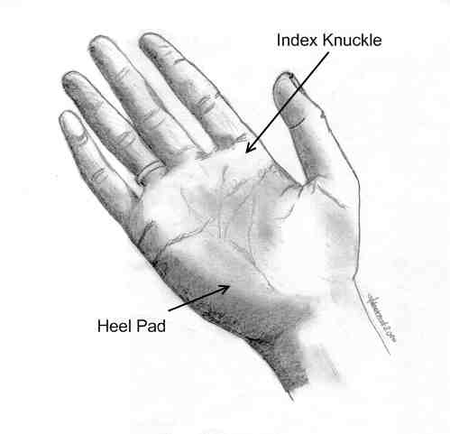 Index Knuckle and Heel Pad